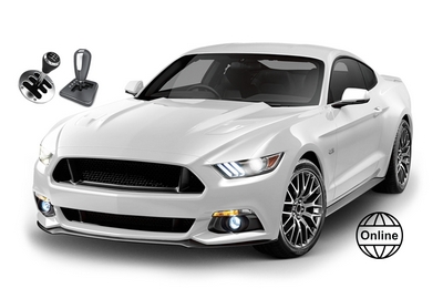 Дистанционное обучение (Онлайн)